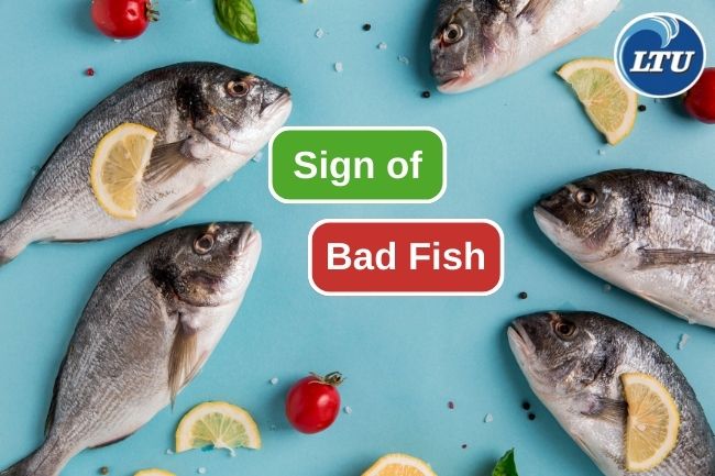 Here Are 8 Signs That Tell You If Fish Is Not Fresh